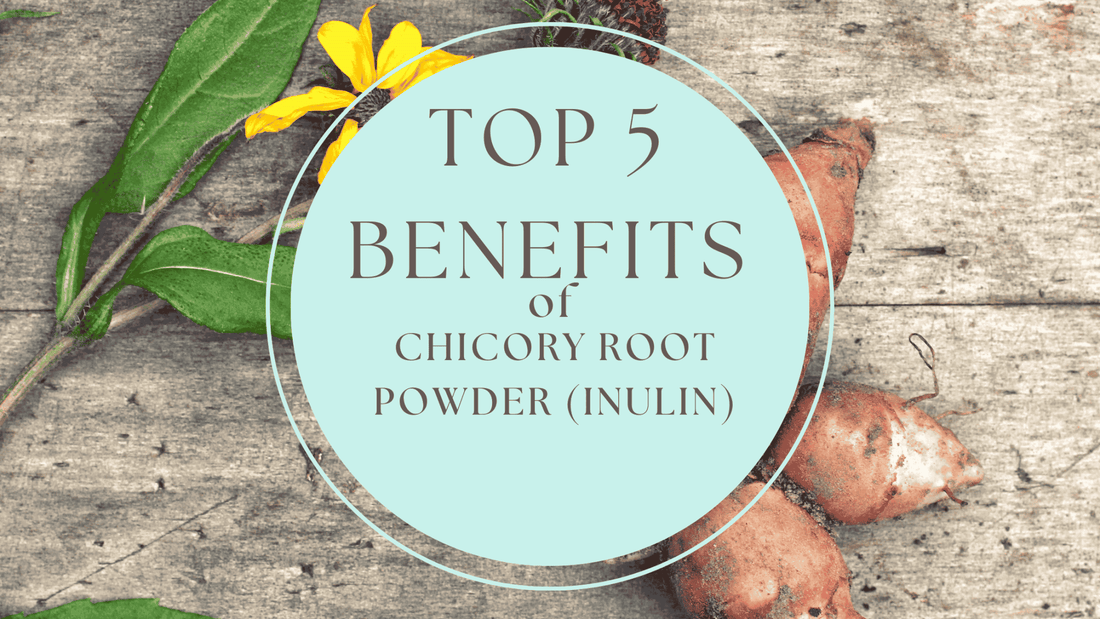 Chicory Root Powder: The Secret in Flèche Cookies & Chocolate - Flèche Healthy Treats