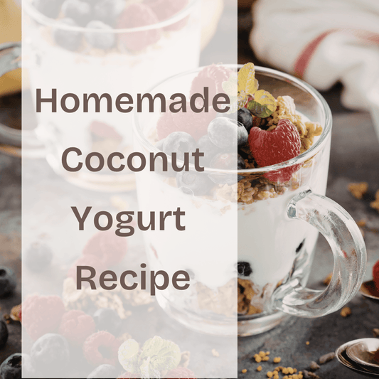 Homemade Coconut Yogurt Bowl
